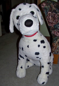 dalmation_after