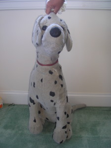 dalmation_before